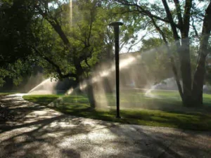 Sprinkler System tips