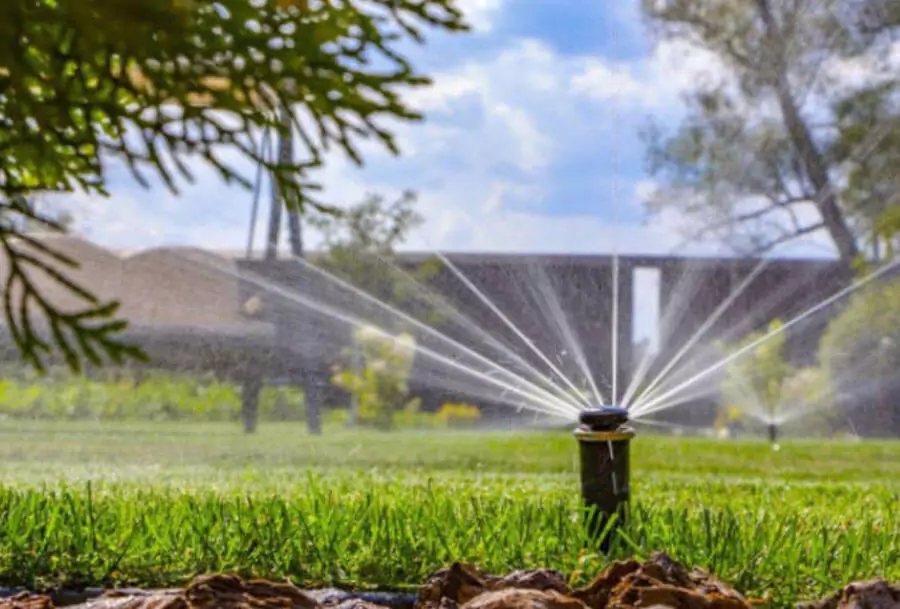 Sprinkler watering in green lawn with sky blue background