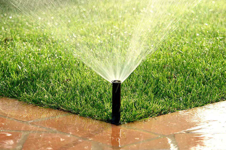 pathway and green lawn with a sprinkler system