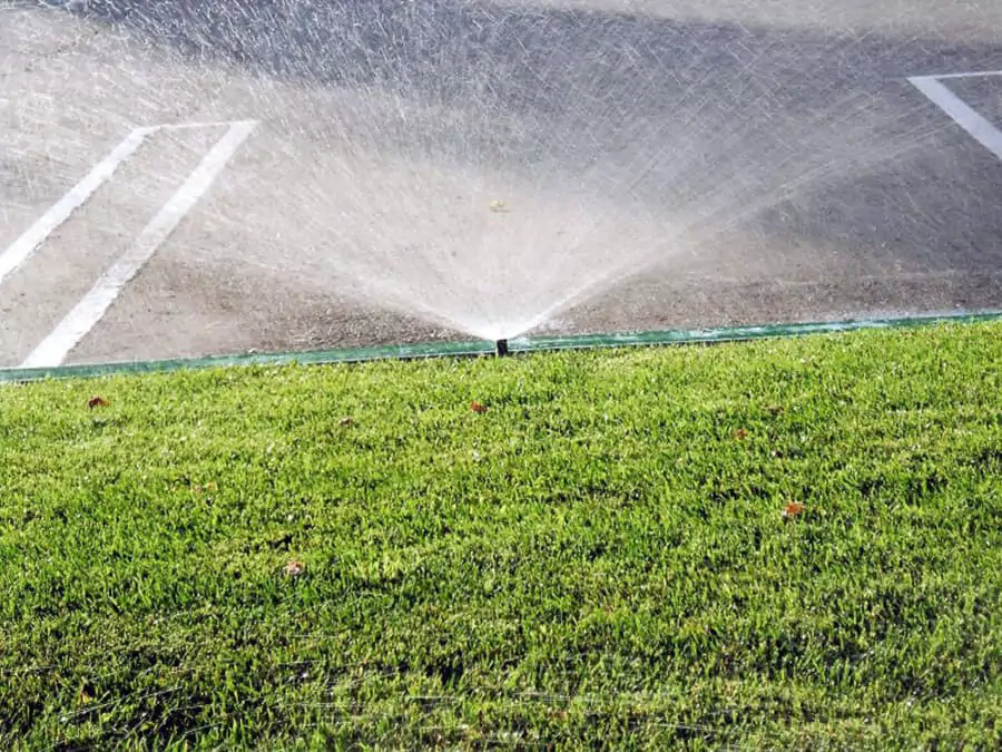 A green lawn with a water sprinkler system