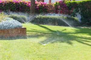 a green lawn with sprinkler systems