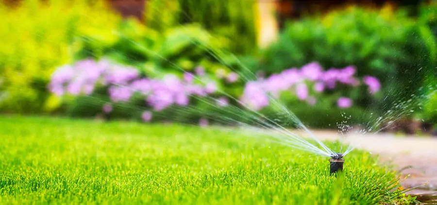 Install a sprinkler system on a green lawn