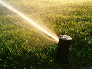 sprinkler repair company near me