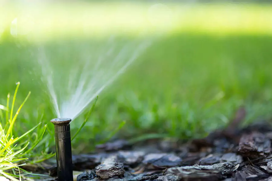 Sprinkler spraying green grass