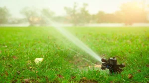 a beautiful green lawn watering by sprinkler system