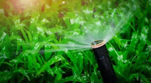 very closed green grass with sprinkler system
