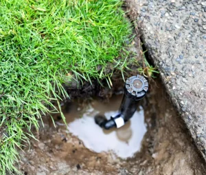 Sprinkler repair machine on green lawn
