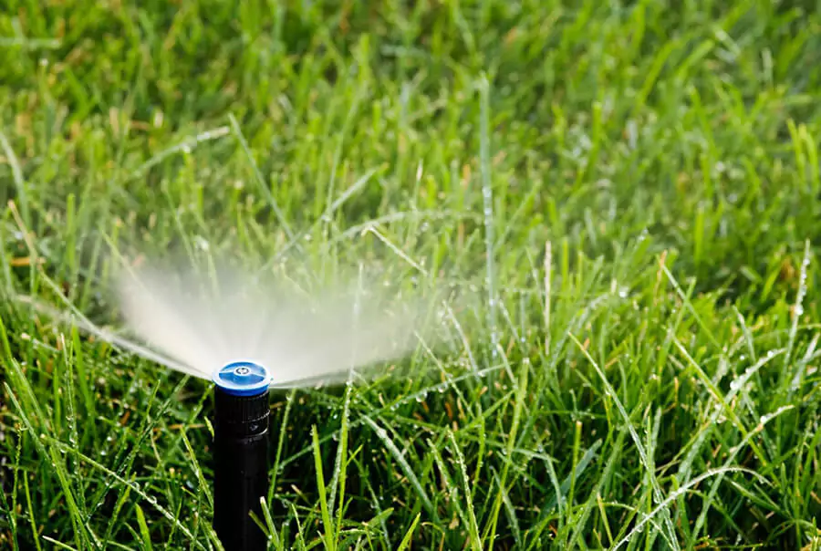 sprinkler watering green lawn grass
