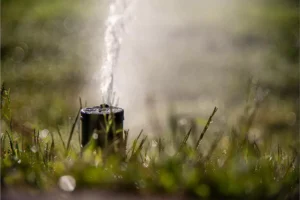 sprinkler system installation