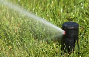 sprinkler watering the lawn