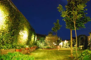 Texas Rainmakers team installed landscape lighting very professionally in a beautiful and green landscape