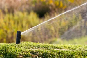 Watering lawn after proper sprinkler repair done by the Texas Rainmakers Team