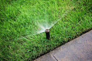 In a green lawn, install sprinkler system in Humble, TX by Texas Rainmakers Team