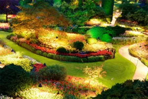 Vibrant garden illuminated with low-voltage landscape lighting in Humble, TX, enhancing the outdoor space.