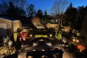 Beautifully lit backyard garden with curved stone path, trees, and plants illuminated at night, showcasing an outdoor lighting setup.