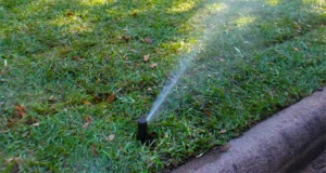 Sprinkler head watering a residential lawn near a curb in Atascocita, TX – part of a properly installed and functioning irrigation system.