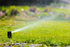 A lawn sprinkler head spraying water across a bright green yard. Sunlight catches the mist, creating a soft, hazy effect in the background.