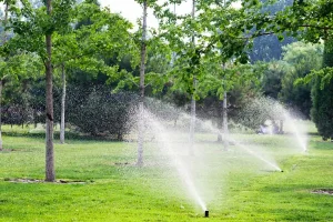 Automatic sprinkler system watering a green lawn with rows of young trees, showing even water coverage and efficient irrigation setup.