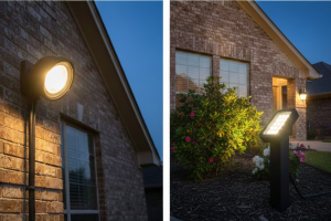 Low-voltage landscape lighting illuminating a home exterior, showing wall-mounted and pathway lights at night