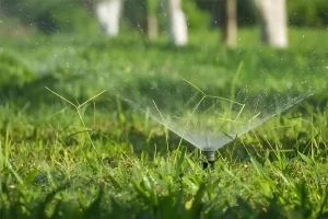 A lawn sprinkler is spraying a fine mist of water across green grass, evenly watering the yard. The irrigation system is in action, keeping the lawn healthy and hydrated.
