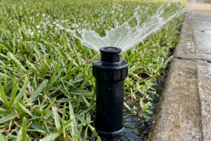 Close-up of a leaking lawn sprinkler head spraying water beside a sidewalk in Humble, TX, showing signs of underground irrigation pressure problems and sprinkler system repair needs